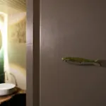Casa Mia - Maison Et A Louer A Gasthuis 3*